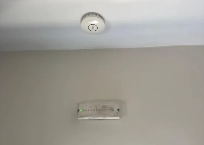 Maestrale 315°